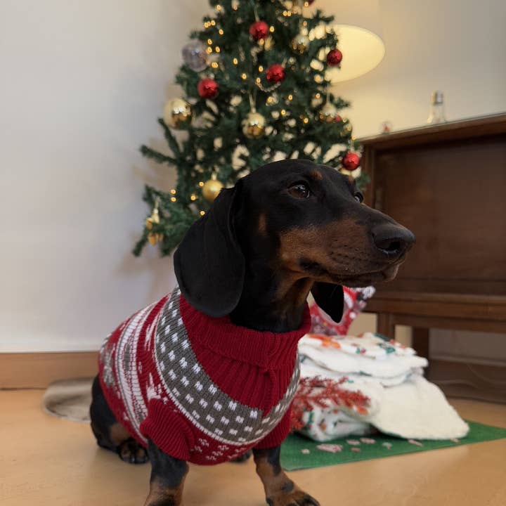 Wildbite Amantes Peludos – Großhandel Haustier-Pullover – Hund – Weihnachtspullover für Hunde mit Schneemotiv2