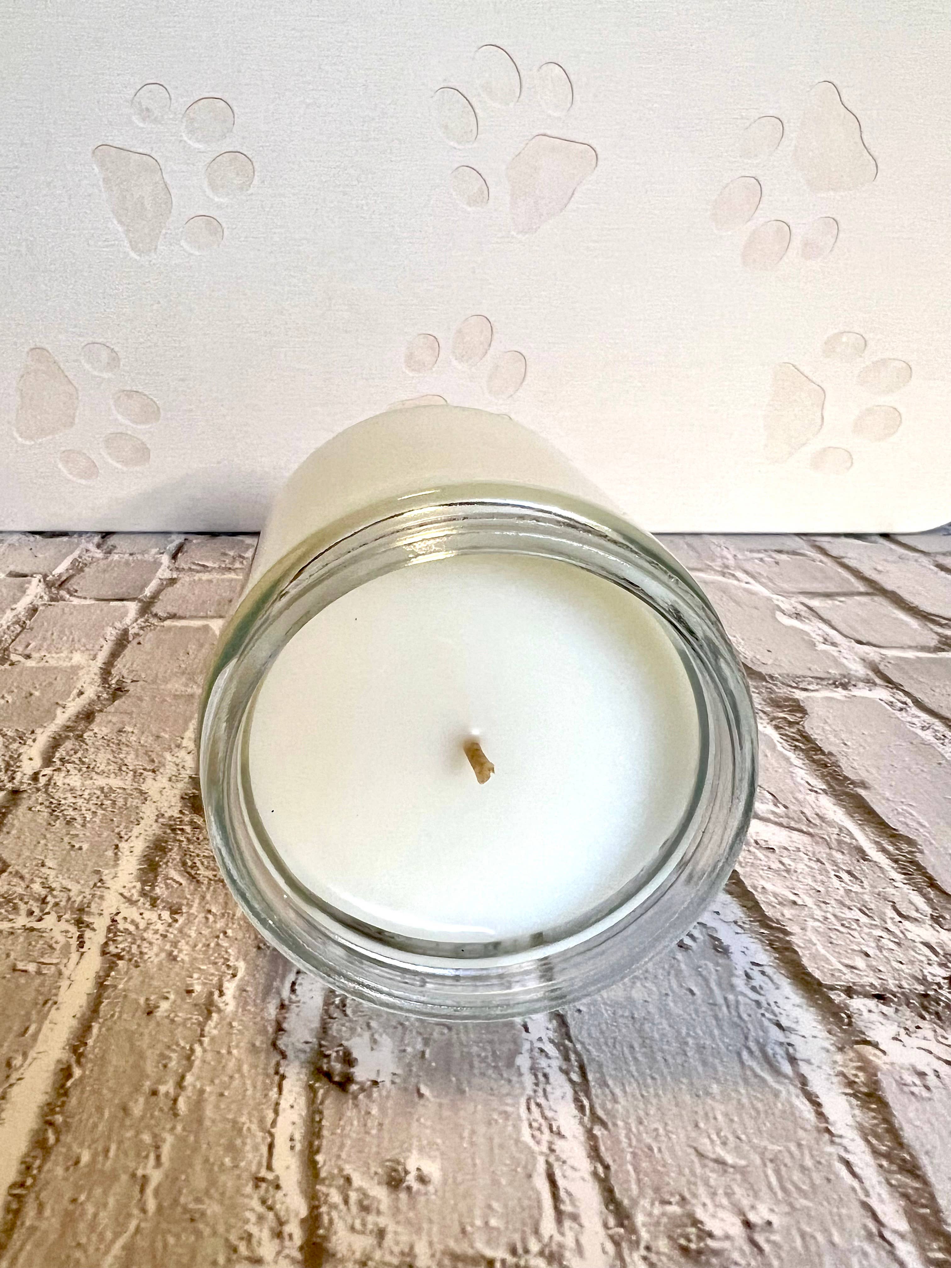 Riley Roo Candles - Wholesale Jar/Filled Candle - Smells Like Puppy Cuddles | Coconut-Soy Candle 8oz1