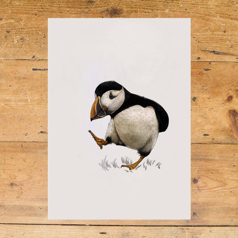 Hidden Planet - Wholesale Art Print - Atlantic puffin - A4 Print (portrait)4