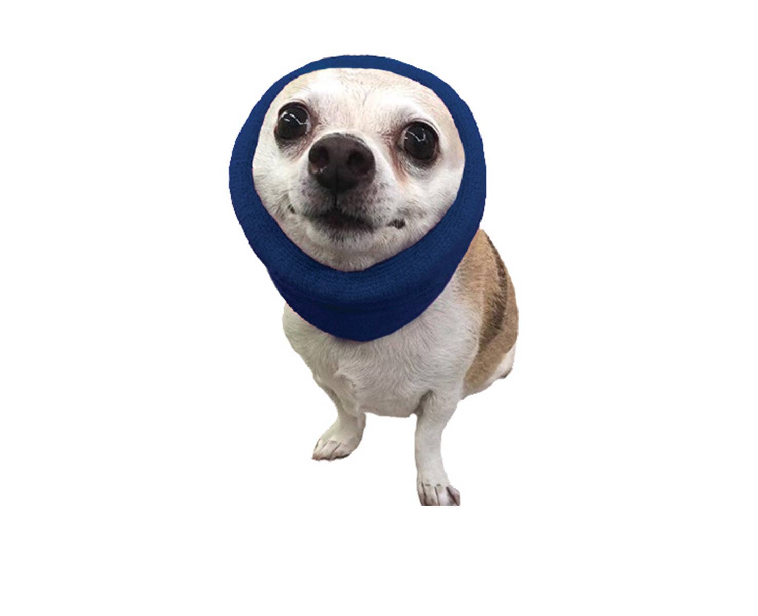 Pet Palette Distribution - Wholesale Pet Grooming Tool - Dog - Happy Hoodie Small Blue1