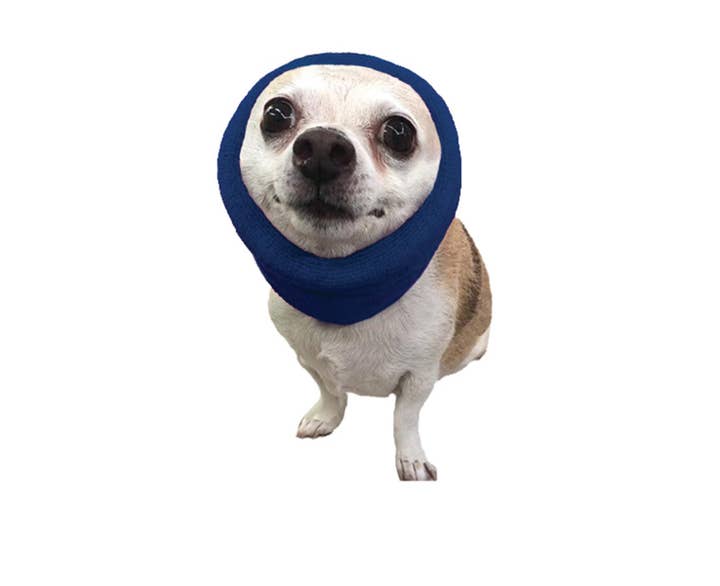 Pet Palette Distribution - Wholesale Pet Grooming Tool - Dog - Happy Hoodie Small Blue1