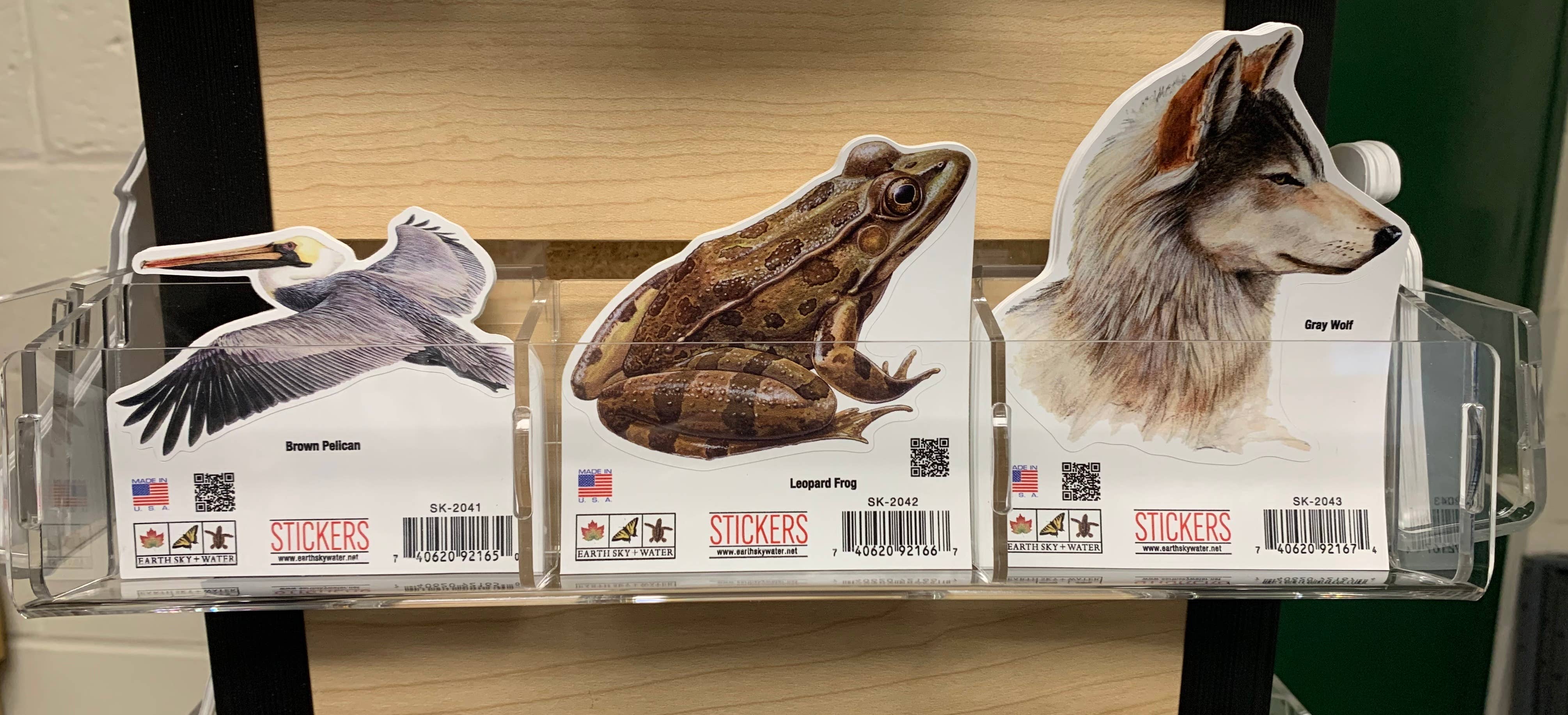 Earth Sky + Water - Wholesale Retailer Display - Paper & Novelty - #8075: Slatwall Plexiglass Shelf for Series SK-2000 Stickers