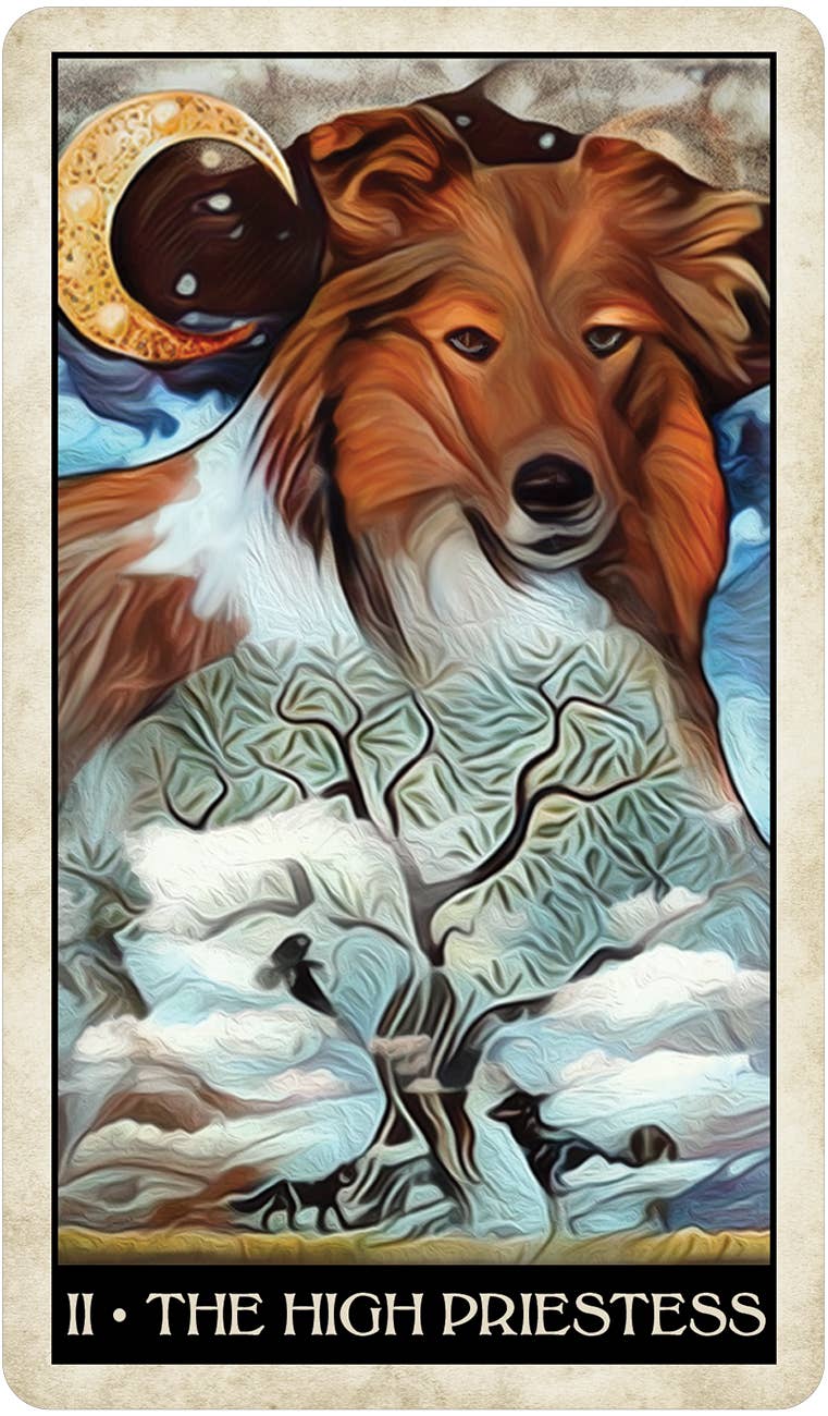 Cardshouse – wholesale Tarot cards – Wise Dog Tarot Cards Us Games Systems9