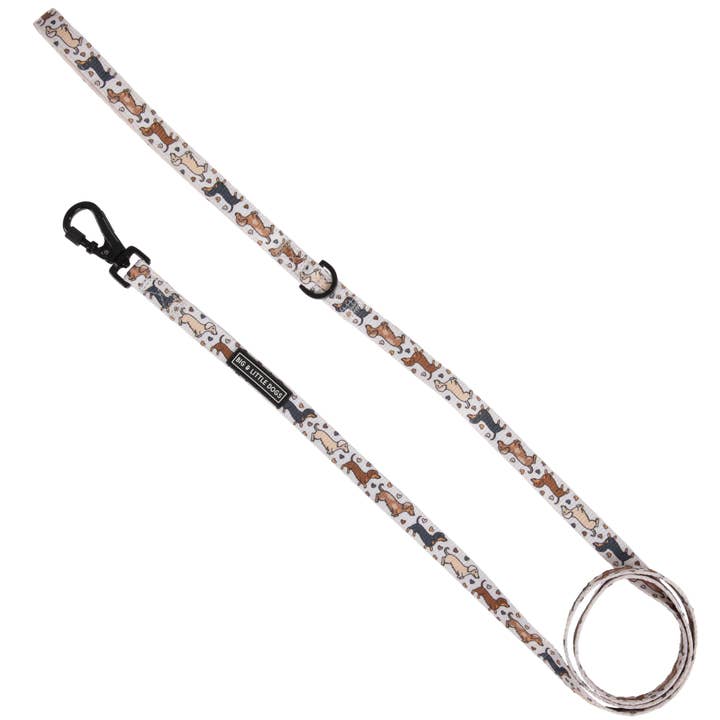 HUNDKOPPEL: Dashie Lovers för wholesale av Big and Little Dogs