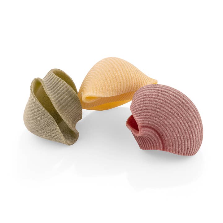 La Fabbrica della Pasta di Gragnano - Wholesale Pasta - Tricolor Lumaconi 500g1