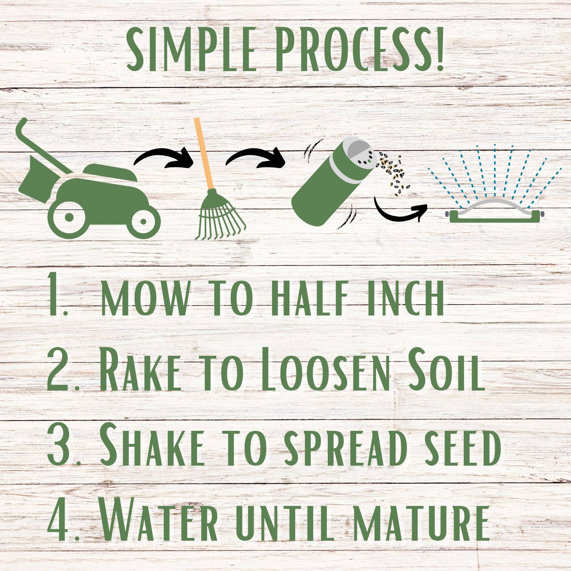 Flawn Seed Kits - Wholesale Plant Seeds - Tri-Color Clover Seed Easy Spread Shaker6