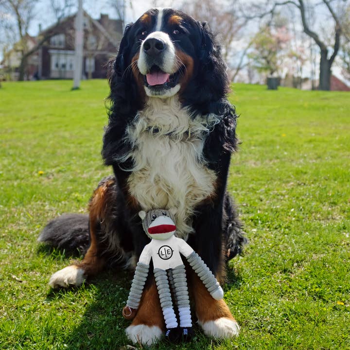 Little Earth Productions - Wholesale Pet Plush Toy - Dog - NCAA South Carolina Fighting Gamecocks Team Sock Monkey Pe2