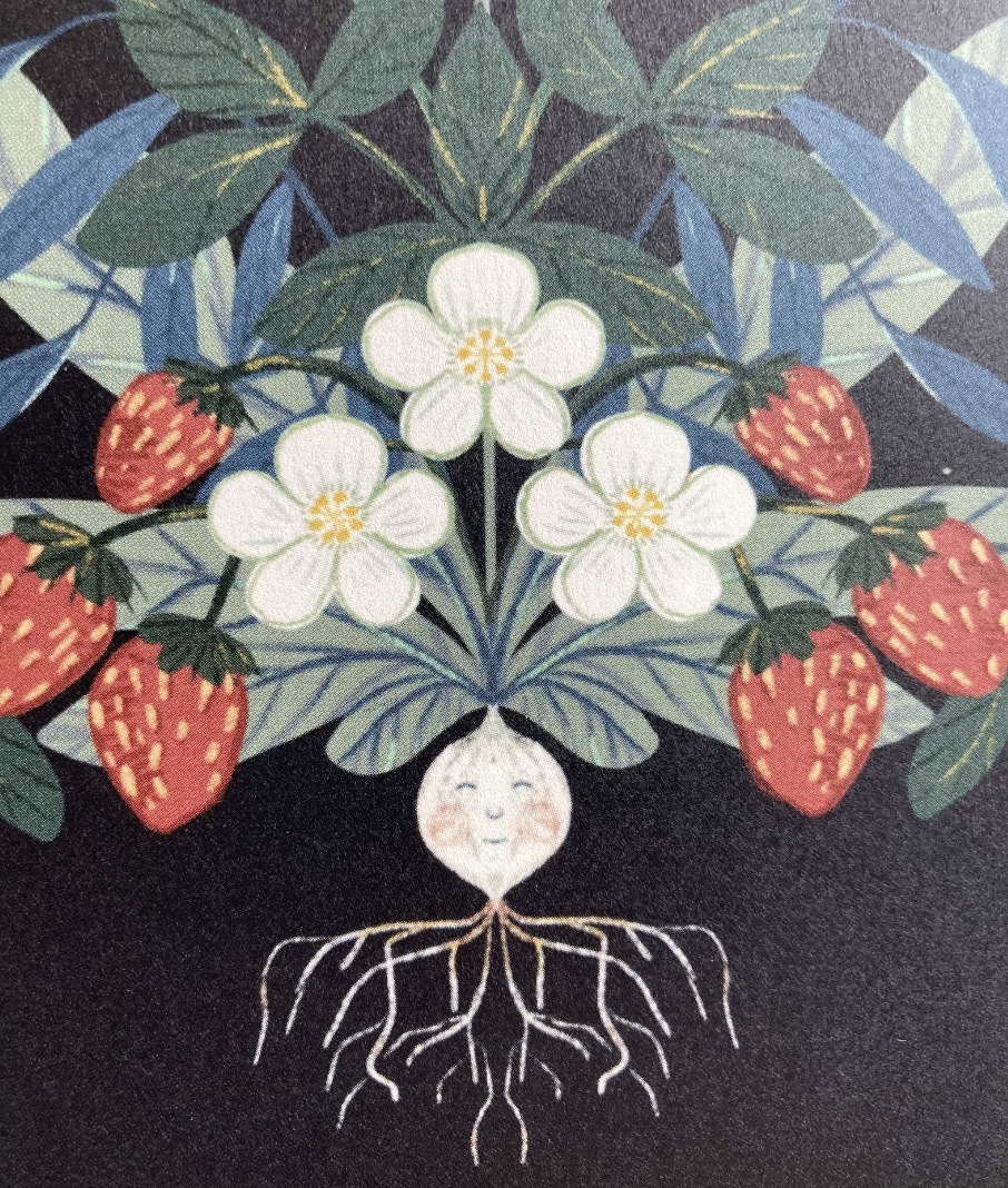 Serena Niesley - Wholesale Art Print - Moon Radish1