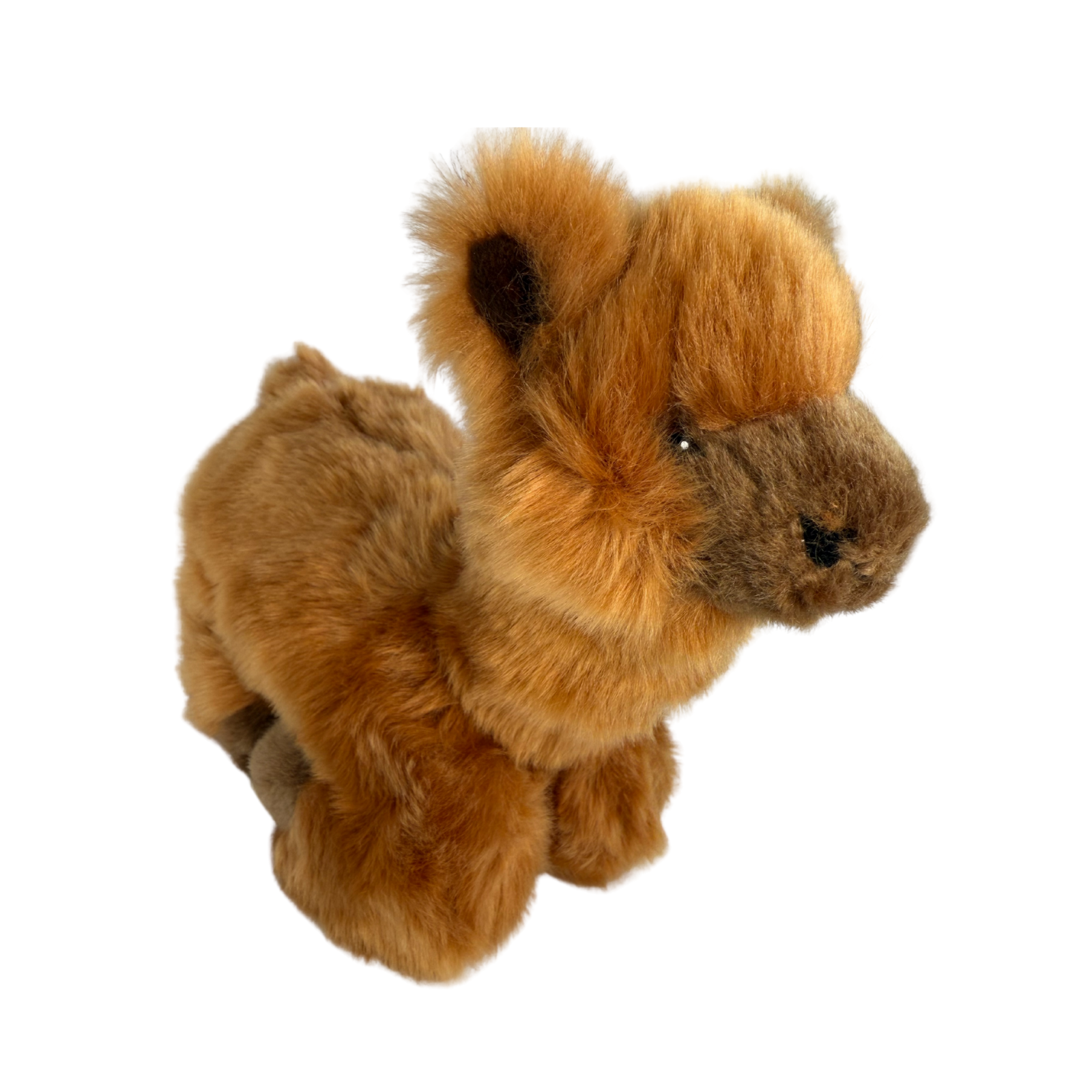 Bocchetta Plush Toys - Wholesale Stuffed/plush toy – Kids & baby - Alcapone - Alpaca - 25cm lying, brown0