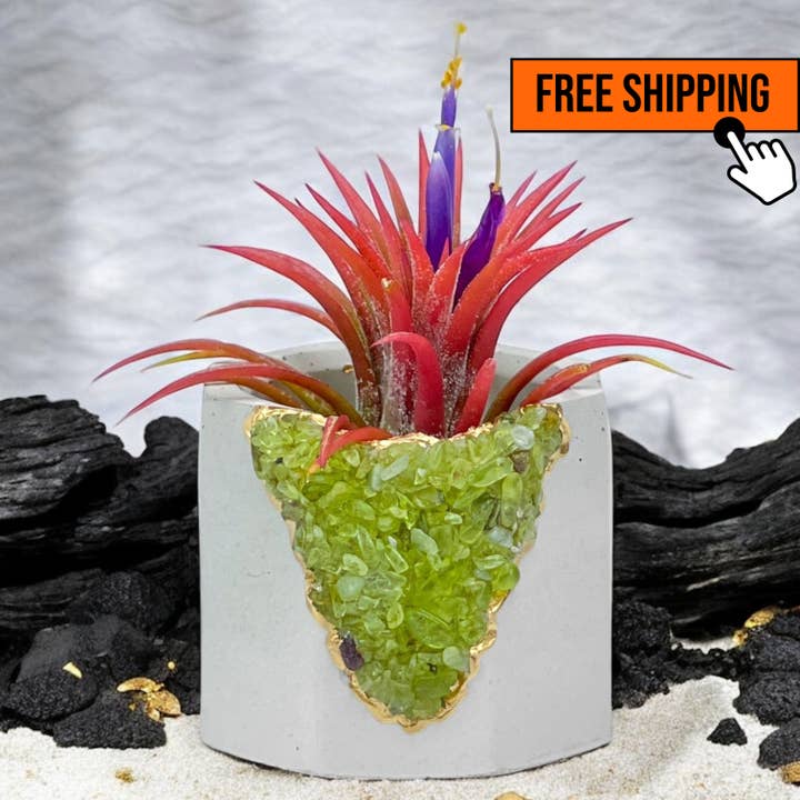 Green Peridot Geode Planter, Concrete Planter Pot for wholesale by Planters Made in the USA