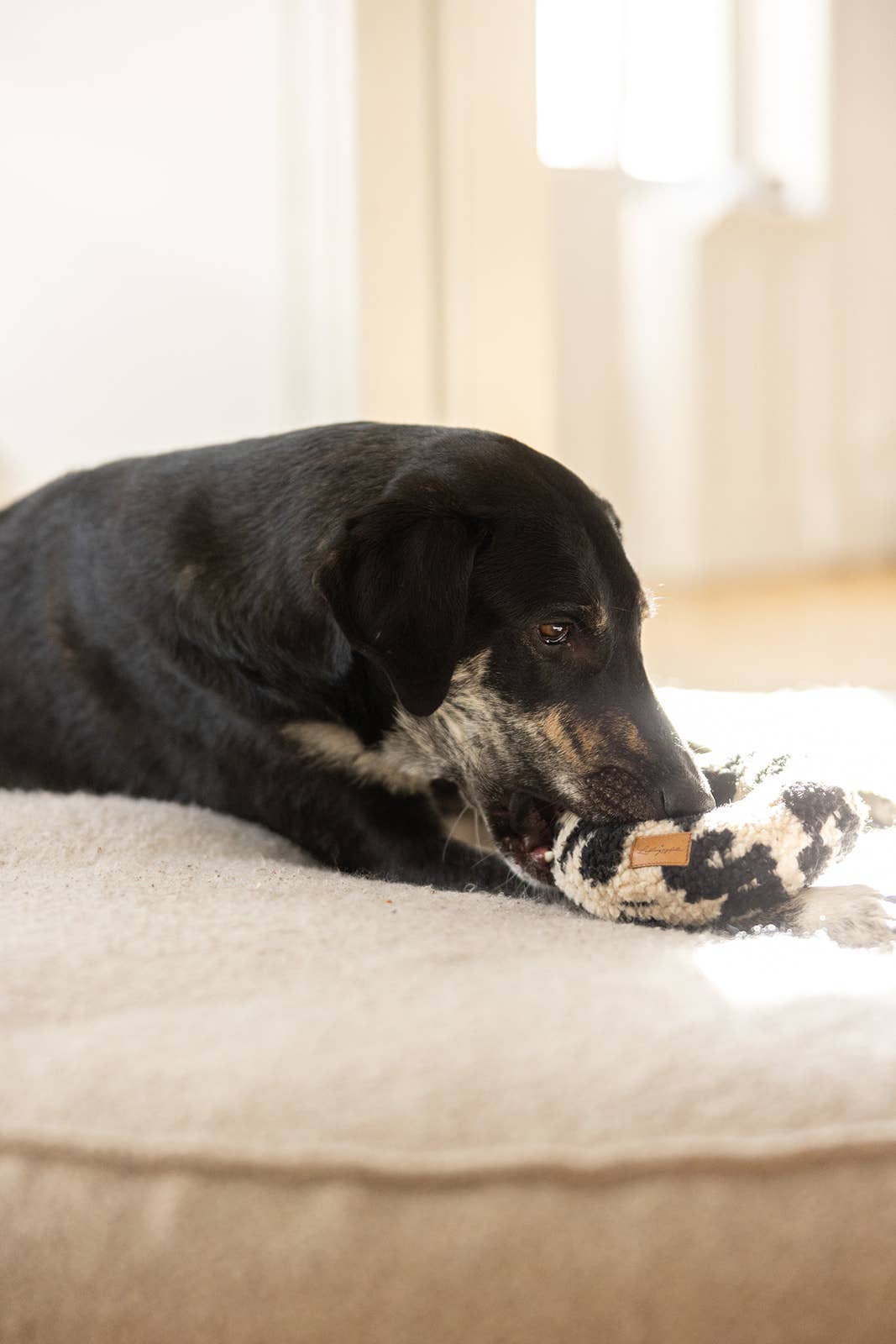 Lieblingspfote – Peluche - Cão por atacado – Crackle Donut Leo - feito à mão4