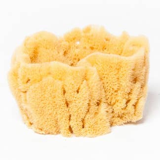 Vase Sponges for wholesale by Aphrodite Skin Care USA