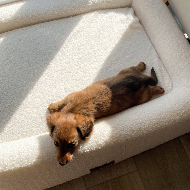 Fenwick Pet Co. – wholesale Pet bed – Dog – Teddy Dog Bed7