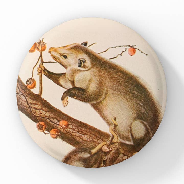Opossum Pin Button, Opossum Keychain, Opossum Magnet for wholesale by NatureCuts