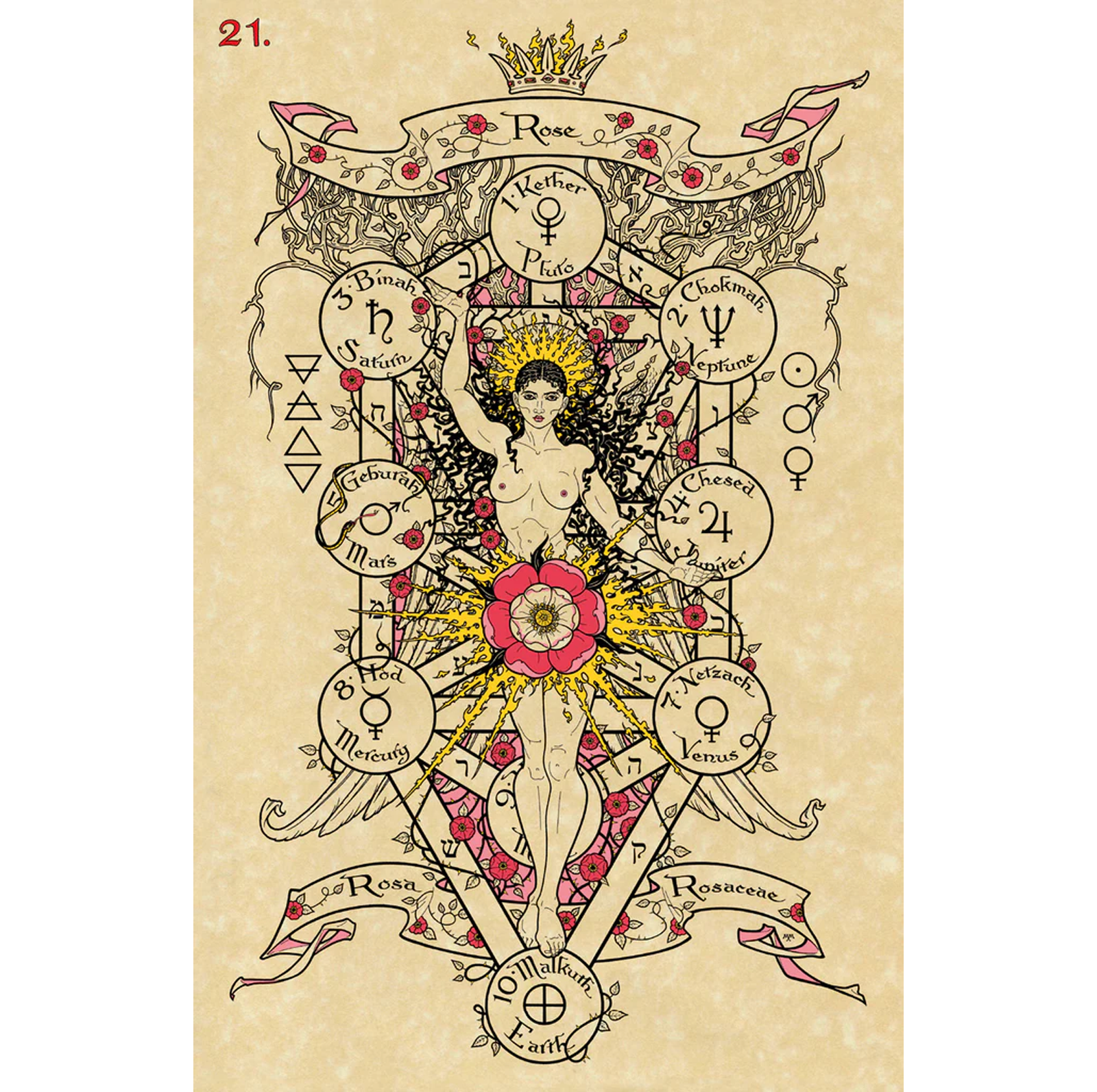 Cardshouse - Wholesale Tarot Cards - The Magickal Botanical Oracle Cards Lo Scarabeo4