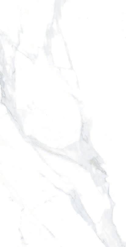 Thomas Avenue Ceramics - Wholesale Wall Tile - 12"x24" Porcelain Calacatta Cool Floor and Wall Tile0