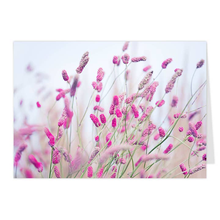 Carte pliante "Petite prairie III" pour la vente par paruspaper. nutzfeine papeterie