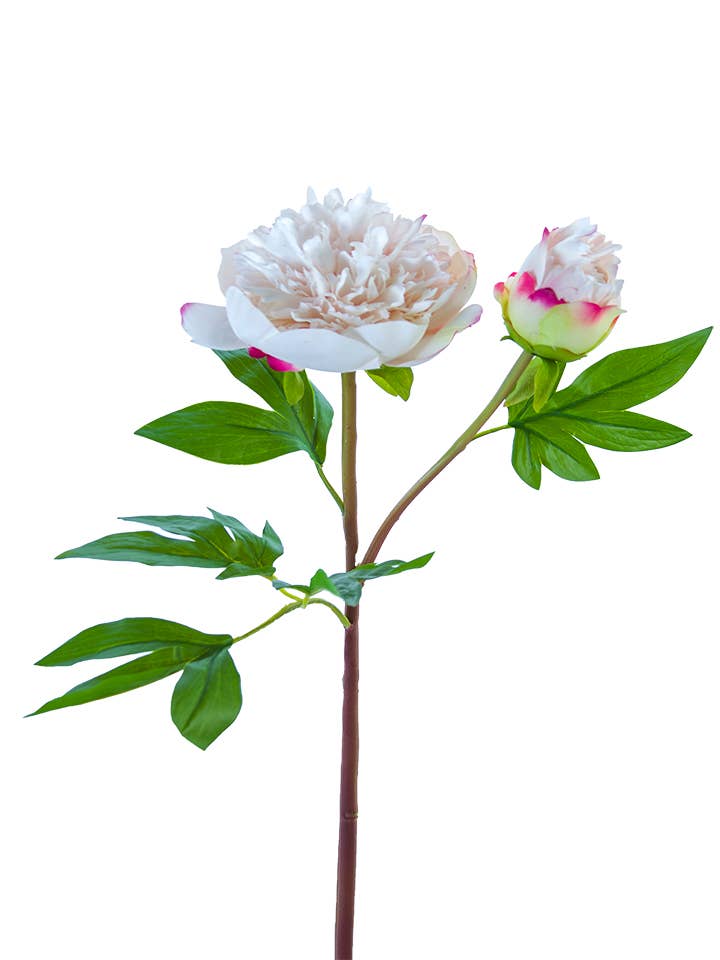 American Best - Vente Fleurs artificielles - PIVOINE À VOLANTS FRESH TOUCH 26"0