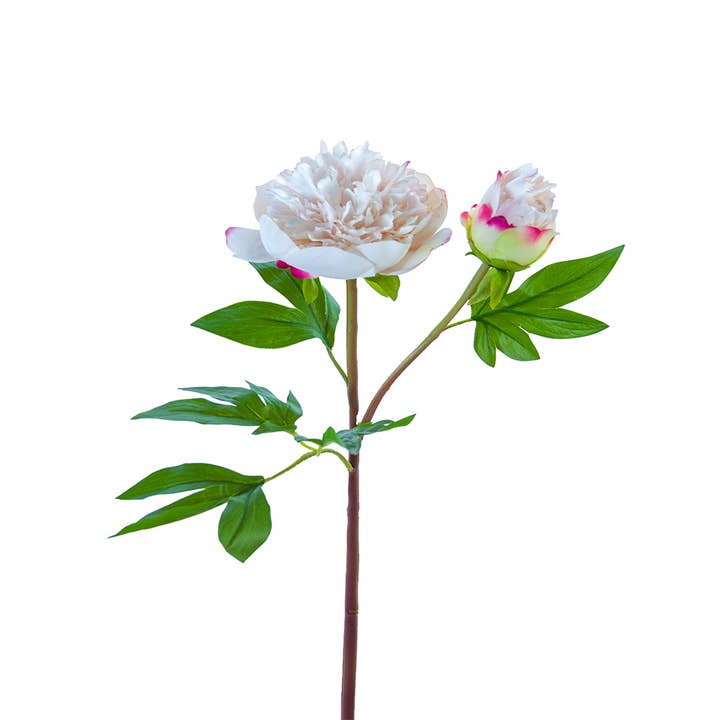 American Best - Vente Fleurs artificielles - PIVOINE À VOLANTS FRESH TOUCH 26"