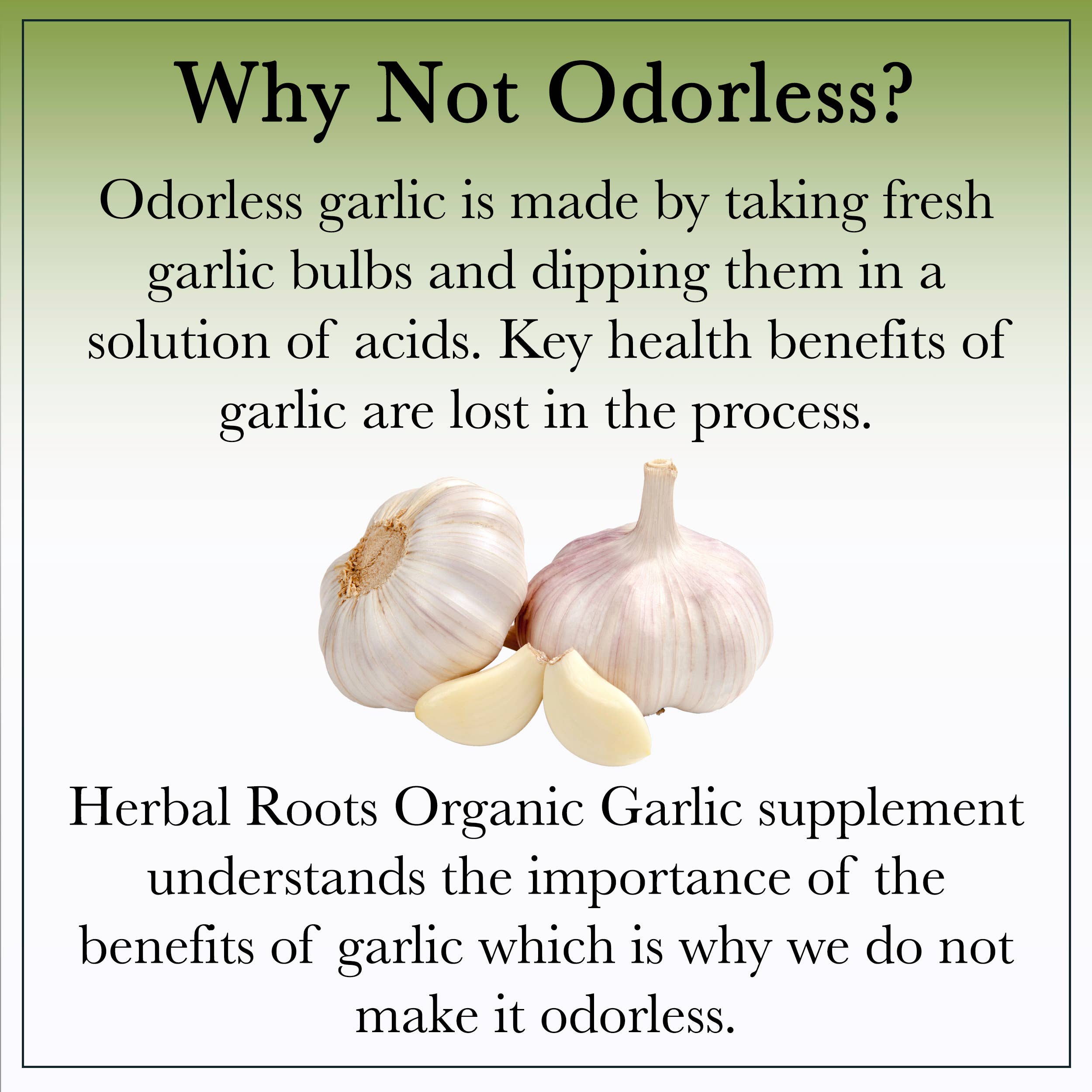 Herbal Roots - Wholesale Oral Supplement/Vitamin - Herbal Roots Organic Whole Bulb Garlic Capsules6