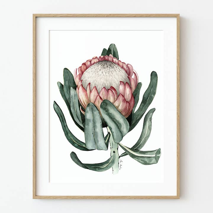 Prothea Flower Art Print voor wholesale door El buen limón
