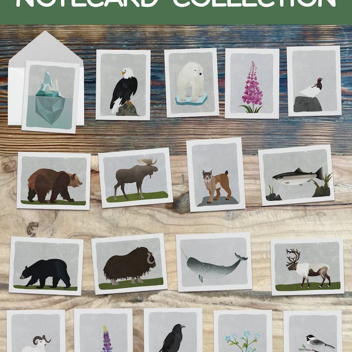 Wren and the Raven ā wholesale Stationery/notecard set ā Alaska Wildlife Series Notecards13