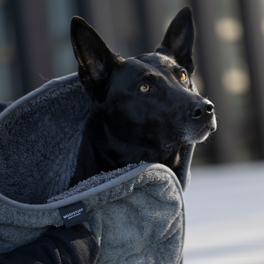 Woofstuff - Shop for dogs - Wholesale Pet Towel - Dog - Ultra Dry Comfort Dog Towel Graphite5