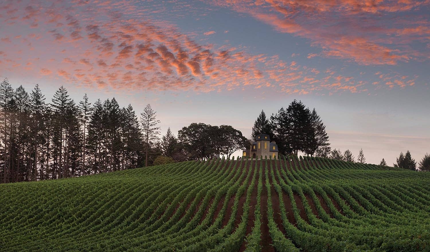 Hachette Book Group - Wholesale Mixology & Beverage - Red Wine: The Comprehensive Guide to the 50 Essential Styles4