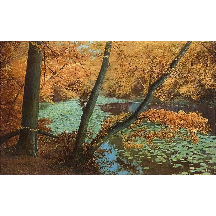 Found Image Press - Wholesale Stationery/Notecard Set - Greeting Card LD-06 Autumn by Forest Pond