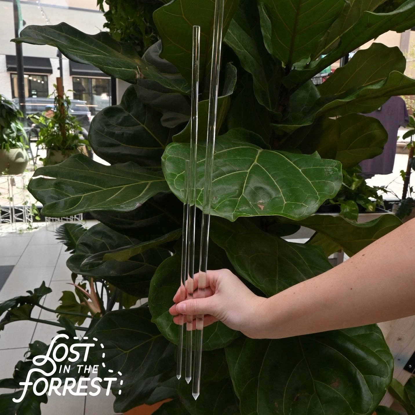 Lost in the Forrest - Wholesale Garden Tool - Glassvine Support3