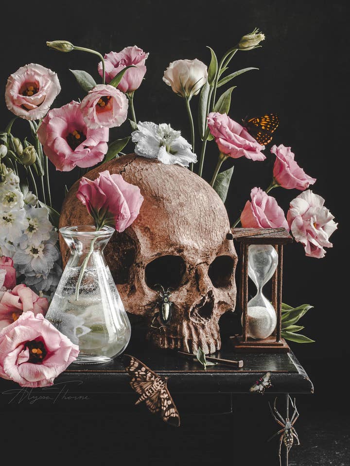 Vanitas I | Art Print | Pink Floral Gothic Still Life for wholesale by Alyssa Thorne
