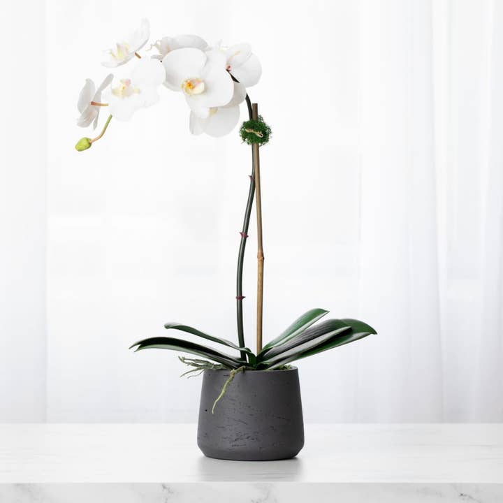 Faux potted orchid plant - white phalaenopsis orchid in black pot - 21" for wholesale by Vivian Rose LLC