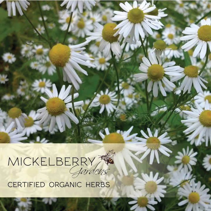 Mickelberry Gardens - Vente Teinture - Tonic au miel de relaxation — une bonne nuit de sommeil pour tous les âges10