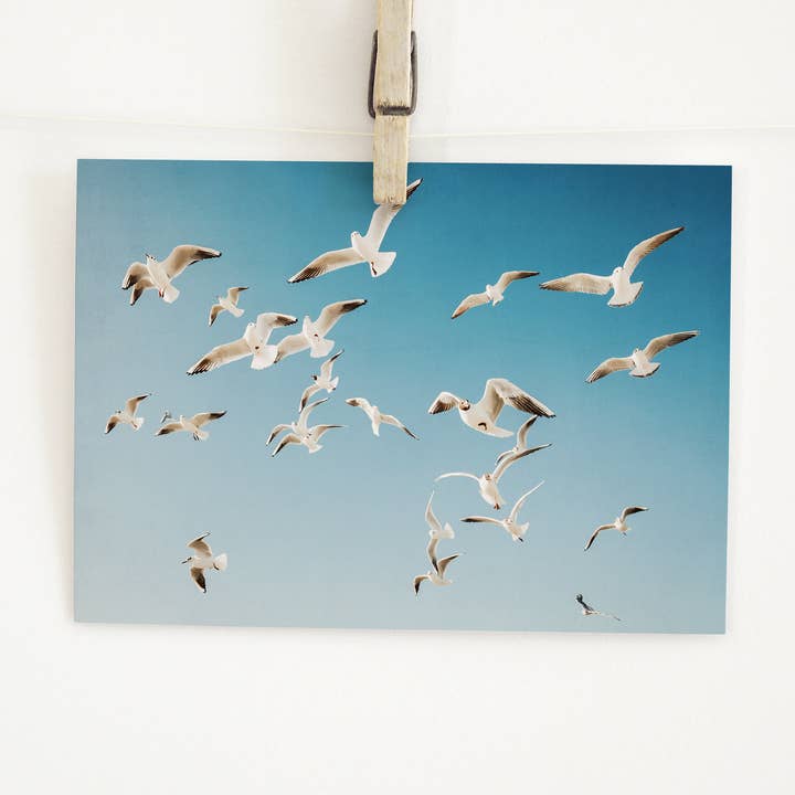 Postcard seagulls in the sky A6 and other Purchase Wholesale pellet firestixx. Free Returns & Net 60 Terms on Faire trending on Faire.