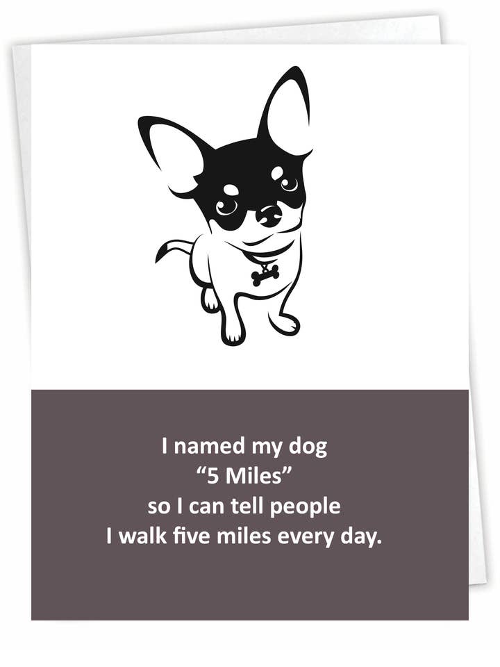 Everyday Card | Funny Greeting Cards | Five Miles for wholesale by Blue Spark Card Co