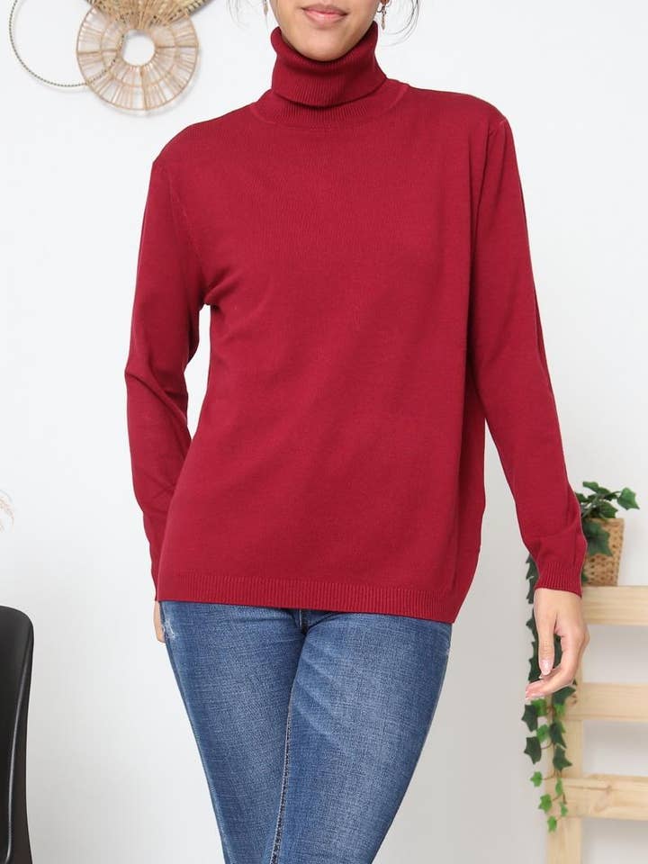 Pull Col Roulé Basique (Grande taille) – Confort et Chaleur pour la vente par DIX-ONZE
