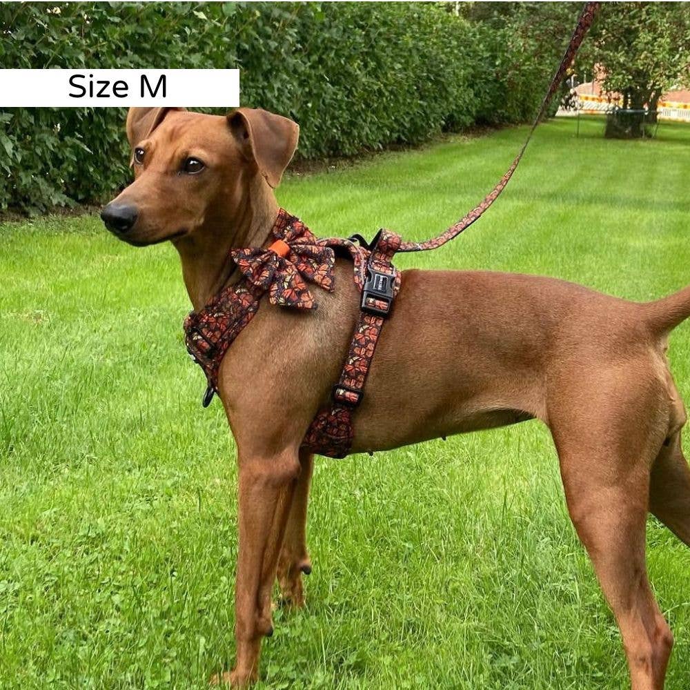 Trufois - Vente Harnais – chien - Harnais Sisu - Chute et Vol2