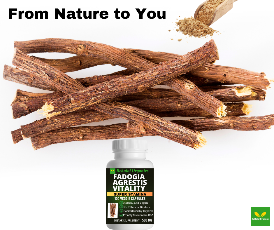 Behalal Organics – Engroshandel Kosttilskud og vitaminer – Fadogia Agrestis 500mg100 Hurtige kapsler6