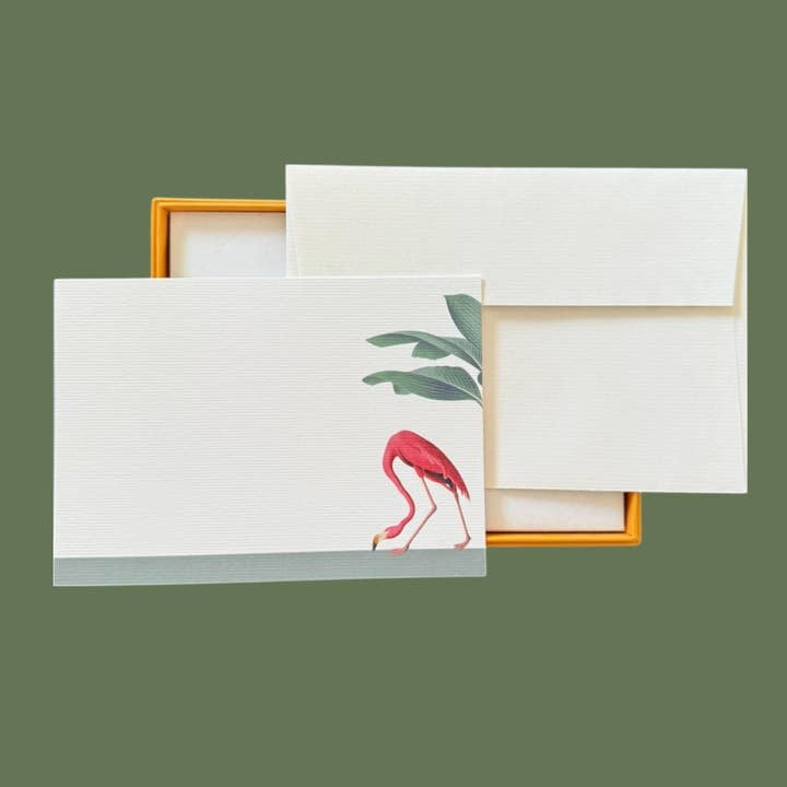 Darwin's Menagerie "Foraging Flamingo" Notecard Set for wholesale by Mustard & Gray Ltd