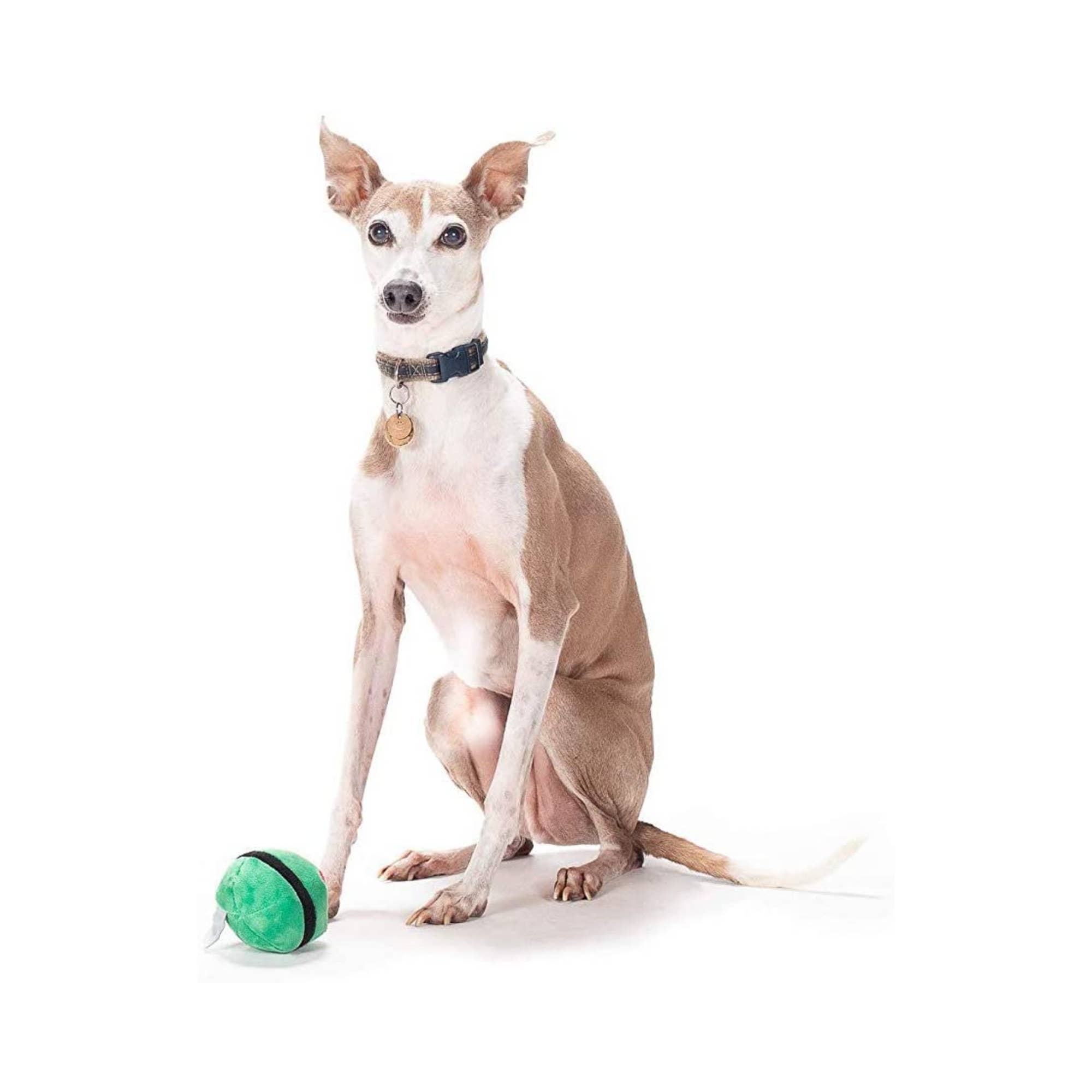 Midlee Designs - Wholesale Pet Plush Toy - Dog - Midlee Christmas Plush Dog Balls- Pack of 63