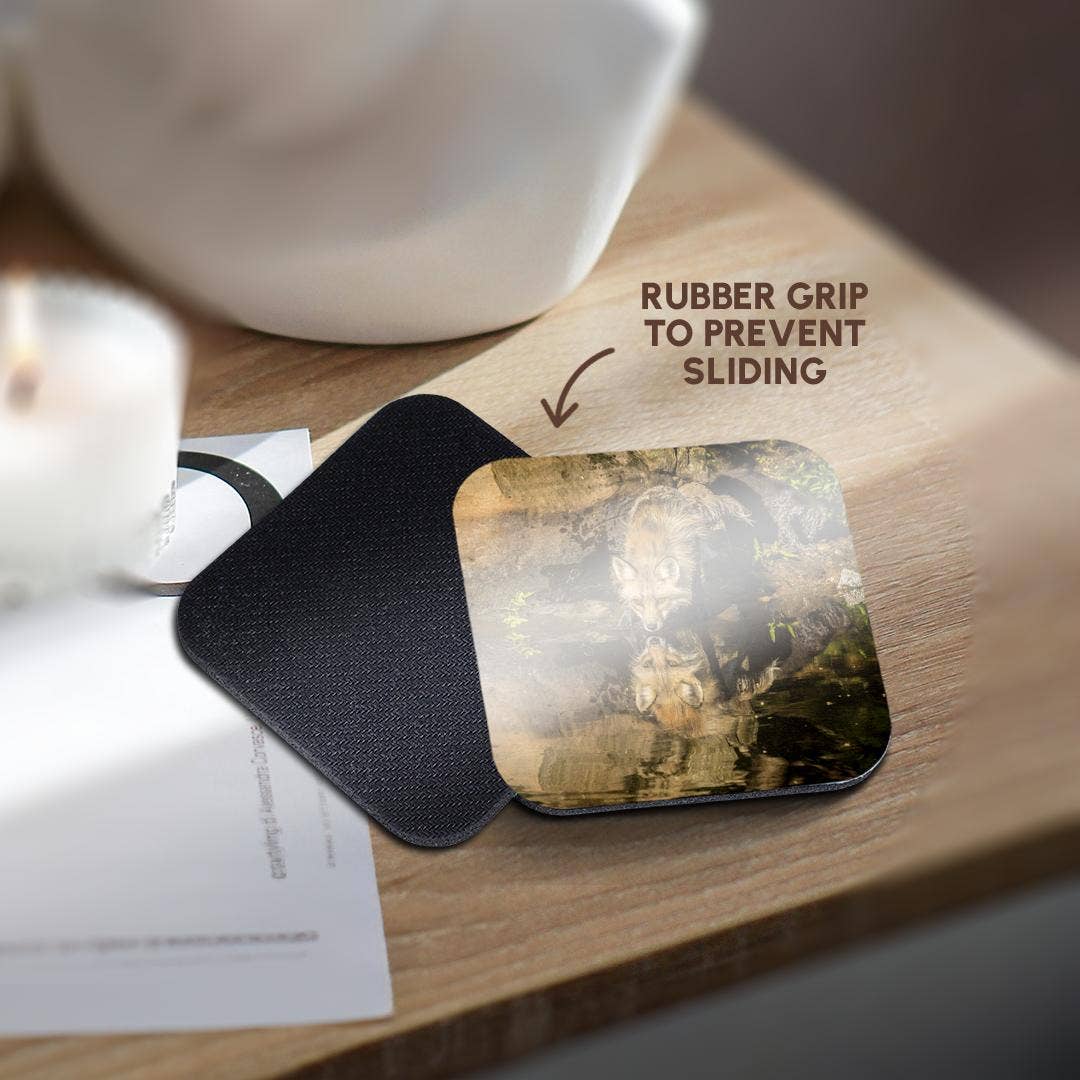 3dRose - Wholesale Coasters - 3dRose, Pine County. Captive red fox drinking. , Coaster10