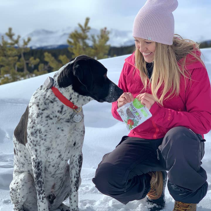 Wild Zora - Wholesale Shelf Stable Prepared Meal - Apple Pork Bar 10 Pack3