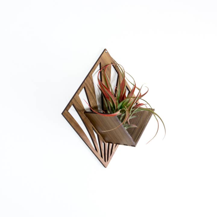 LIGHT RAZOR DESIGN STUDIO - Wholesale Wall planter - Air Plant Holder / Quadrate Wall Hanging Planter 212