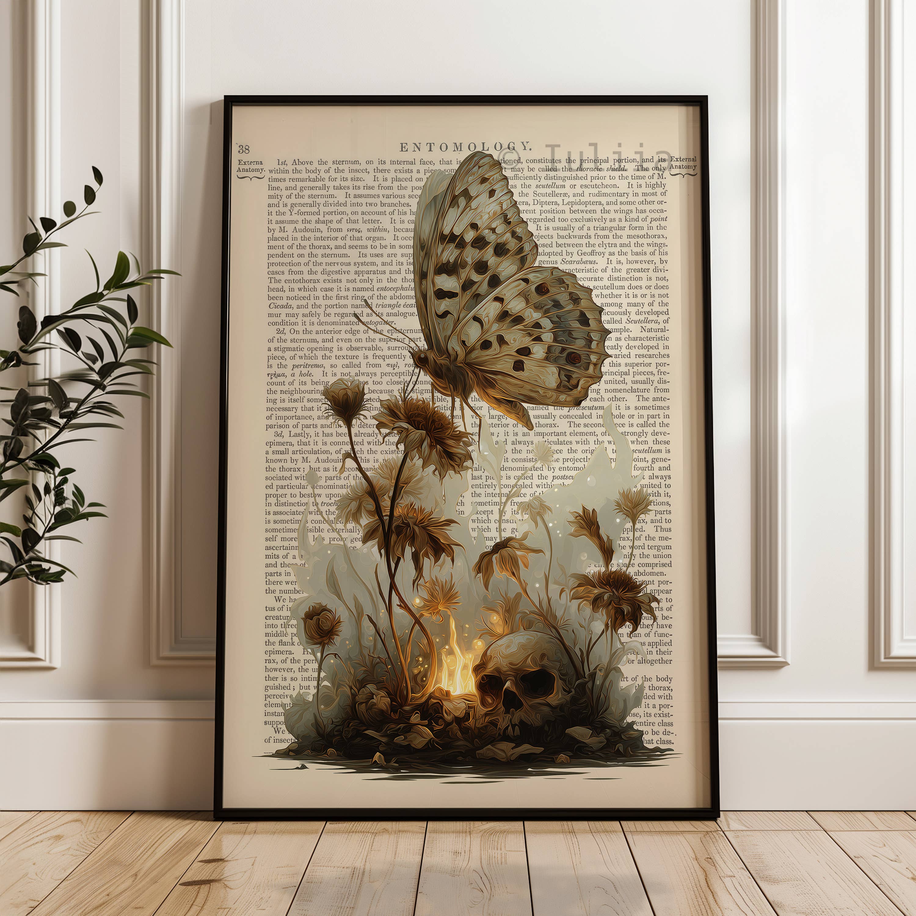IuliiaArtPrints - Wholesale Art Print - Gothic Botanical Skull Print – Vintage Entomology Wall Decor7