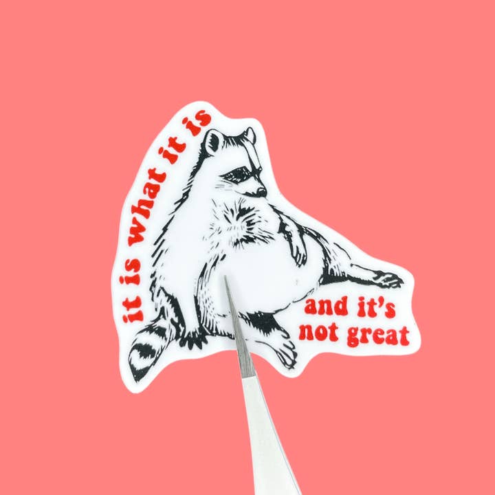 C'est ce que c'est Autocollant d'ordinateur portable Raton Laveur Amusant pour la vente par Seven Virgo Studios