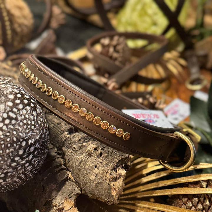 The Tempest Crystal Encrusted 1" Padded Collar for wholesale by Adoreadane Collection