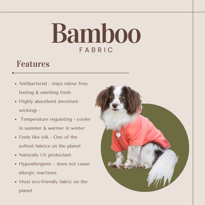 Eco-Pup - Vendita all'ingrosso Maglione - Cani - FELPA APPLE3