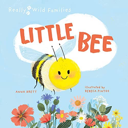 Boon Books – wholesale Pre-school book (3–5) – Little Bee: Day in the Life of Bee Brood by Brett & Pintos