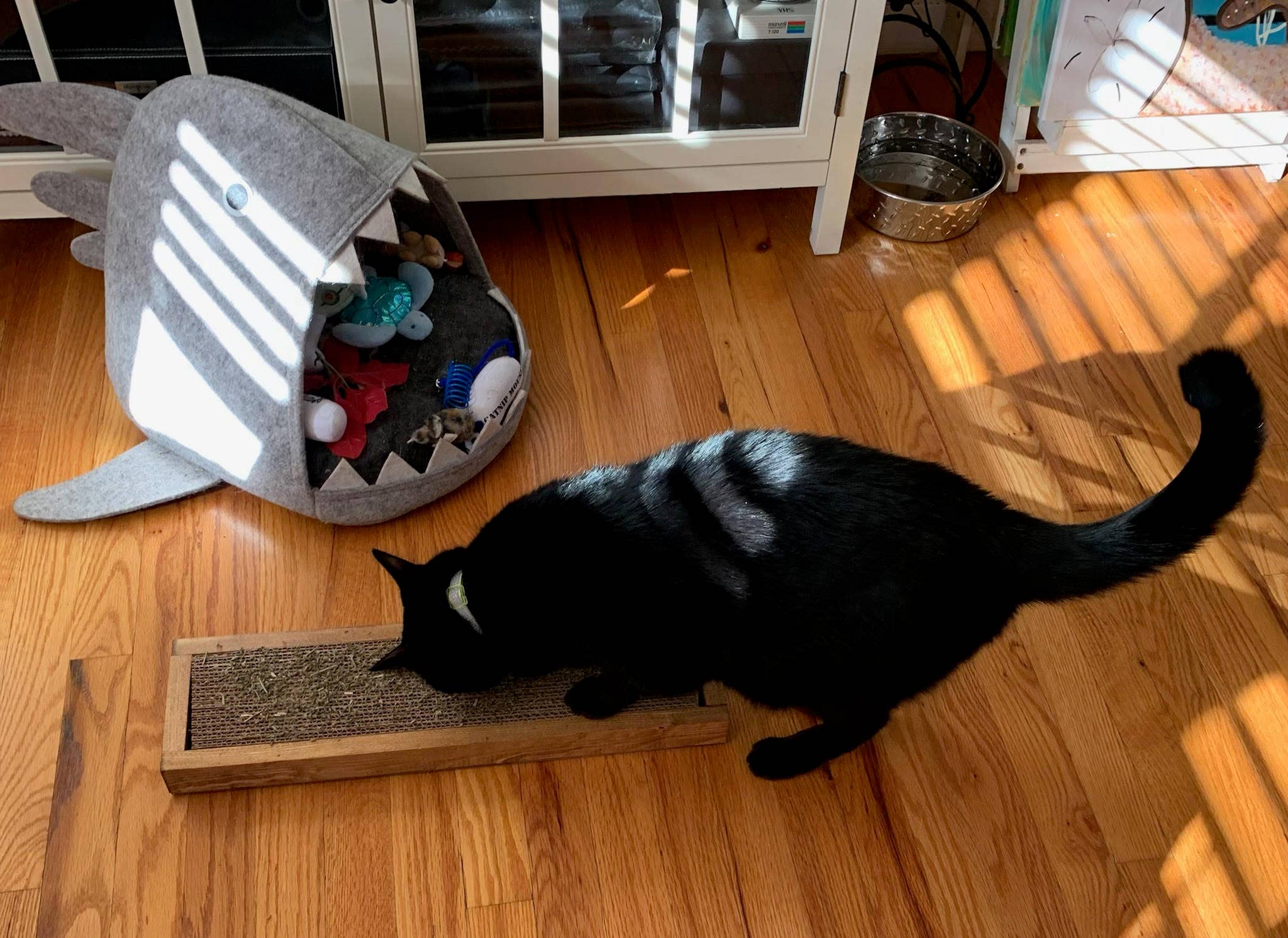 Cat Scratcher Guy - Wholesale Pet Scratcher - Cat - Amazing Handmade Wooden Cat Scratcher3