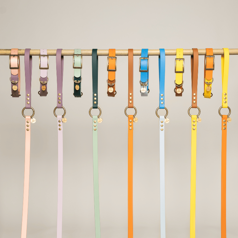 KITSUNE.DOG - Wholesale Pet Collar - Dog - Bi-color BioThane® dog collar - ORANGE and BROWN1